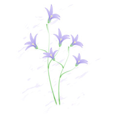 Violet bells flowers vector. Imitation watercolor painting of bells flowers.