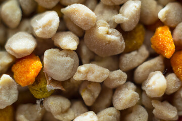 macro photo of  pollen grains