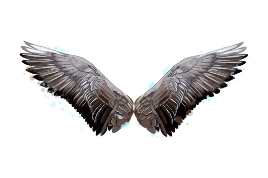 Colorful wings from a splash of watercolor, colored drawing, realistic. Vector illustration of paints