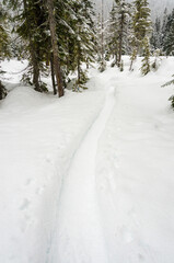 Fototapeta na wymiar Fragment of mountain snowshoe trail in Whistler, Vancouver, Canada.