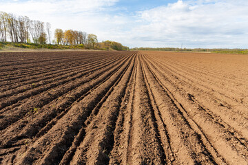 a plowed field on a sunny spring morning