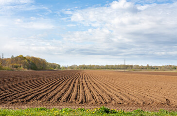 a plowed field on a sunny spring morning