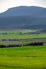 scenic views of green fields and mountains from Aures region in Batna, Algeria