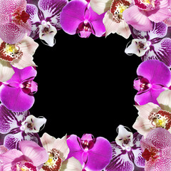 Beautiful floral frame of orchids. Isolated