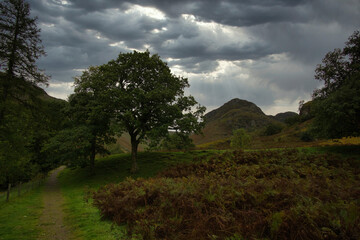 Fototapeta premium landscape with clouds
