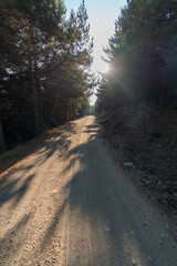 Obraz premium dirt road in the Sierra Nevada mountain