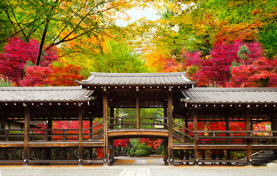 Japan autumn image. traditional architecture in the beautiful Japanese red leaves. Kyoto.