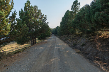 Fototapeta na wymiar dirt road in the Sierra Nevada mountain