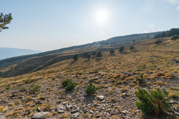 mountainous landscape of Sierra Nevada