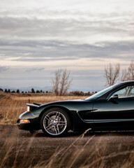 Obraz premium green sports car side profile in grassy landscape