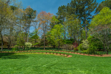 Blooming springtime landscape