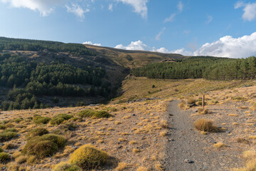 mountainous landscape of Sierra Nevada