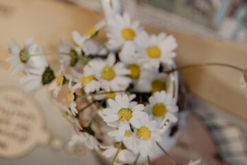Fototapeta na wymiar Bouquet daisies in a white vase. Large bouquet of field chamomiles in a vase on a sunset background. Grass flowers, Daisy flowers, Book background