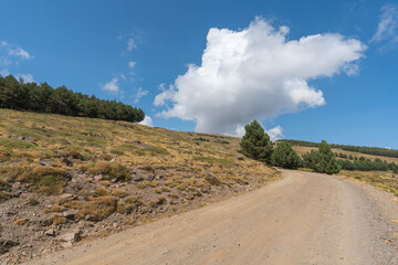 dirt road in the Sierra Nevada mountain