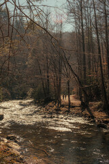 Trail by the river. Nantahala National Forest in North Carolina.