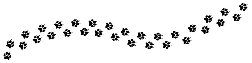 ngi1187 NewGraphicIcon ngi - german - Hundespuren: Die Pfoten von Hunden . english - paw print - dog tracks . the paws of dogs - puppy . banner icon - isolated on white background . 4to1 xxl g10427