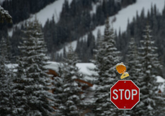 red octagonal stop sign on road wiht yellow hazard light on top ski resort ski runs in background and snow covered trees signifying early closures of ski hills in British Columbia Canada room  type