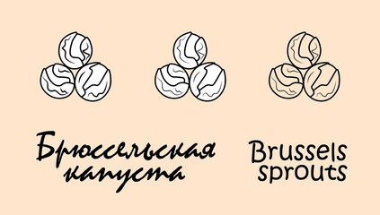 A set of three brussels sprouts objects with the inscription 