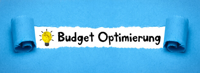 Budget Optimierung 