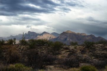 Desert clouds