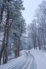 Obraz premium A person walking in the road on a snow day.