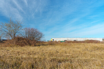 landschaft mit wiese, wald und blauem himmel