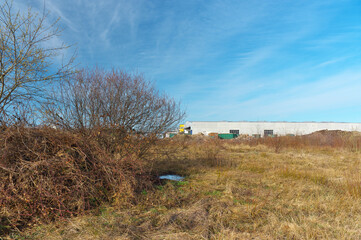 landschaft mit wiese, wald und blauem himmel