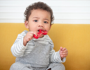 Portrait of mixed race Asian-African boy about 11 months old sits on a sofa and chews on a wooden toy. Funny educational for children concept..