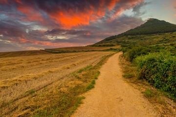The Camino de Santiago in Navarra at sunset