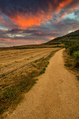 The Camino de Santiago in Navarra at sunset