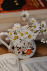 Bouquet daisies in a white vase. Large bouquet of field chamomiles in a vase on a sunset background. Grass flowers, Daisy flowers, Book background