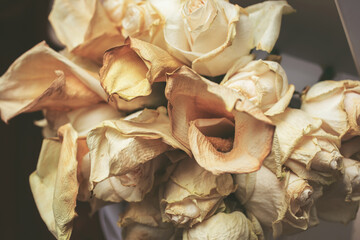 A closeup view of a bouquet of elegant roses and lilies that are dramatically wilted.