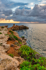 Obraz premium Cape martinet in Ibiza during a beautiful sunrise