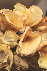 A closeup view of a bouquet of elegant roses and lilies that are dramatically wilted.