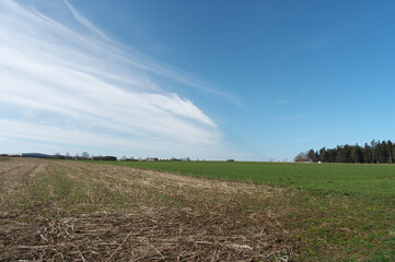 landschaft mit wiese, wald und blauem himmel