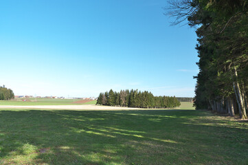 landschaft mit wiese, wald und blauem himmel