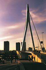 Erasmus Bridge, Rotterdam, Netherlands. Combined cable-stayed and bascule bridge. White lines and stunning sunset.