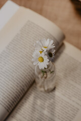 Bouquet daisies in a white vase. Large bouquet of field chamomiles in a vase on a sunset background. Grass flowers, Daisy flowers, Book background
