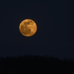 Fototapeta na wymiar Moonrise