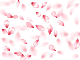 Pink sakura flower flying petals isolated on white vector background.
