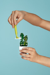 Conceptual image of soft woman hands holding razor and cactus over blue background. Depilation concept.