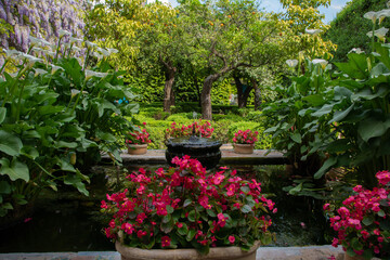 Obraz premium Los patios del Palacio de Viana (Córdoba). 