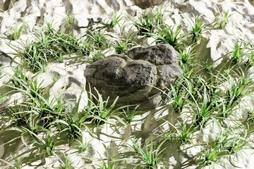 Rock in the sand. 3D rendering illustration.
