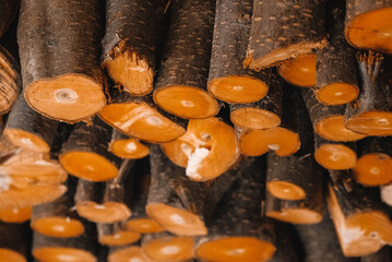 Pile of freshly cut firewood, the ends of logs as a background texture. Copy, empty space for text