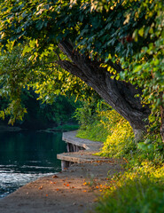 autumn in the park