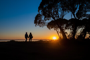 Rear View Of Mother And Daughter Holding Hands While Standing On the Lake shore Against Sky During Sunset.Large trees are located next to them. silhouettes.