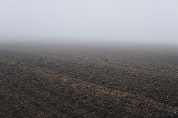 Fototapeta na wymiar fields hidden in a fog