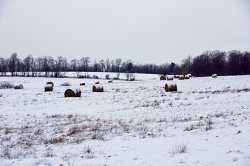 Hay Bails in the snow in Upstate New York