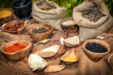 Gew&uuml;rze auf einem Tisch sch&ouml;n angerichtet