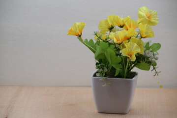 flor amarilla en florero blanco aislada, en posición derecha